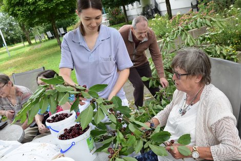 Ergotherapeutin und BewohnerInnen bei Kirschenernte