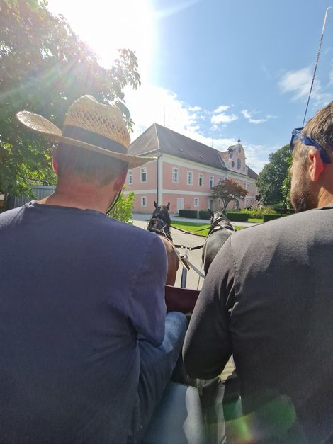 Kutscher mit Pferden vor dem LPBZ Schloss Gschwendt