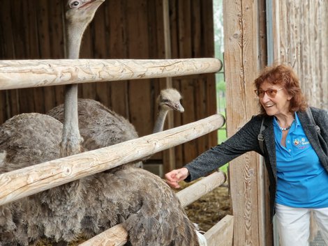 Ehrenamtliche Mitarbeiterin neben Strauß