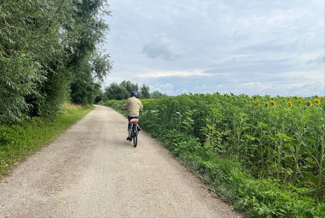 Radfahrer am Radweg