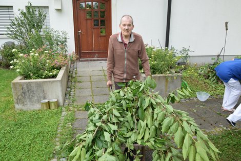 Bewohner mit Scheibtruhe gefüllt mit Kirschenzweigen