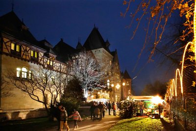 Weihnachtsmarkt LPBZ Schloss Cumberland